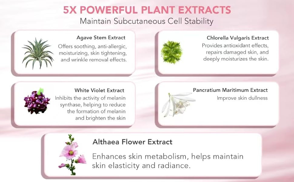 Collagen Night Wrapping Facial Mask